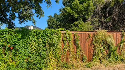 How Landscaping Affects Fence Longevity | Fort Worth