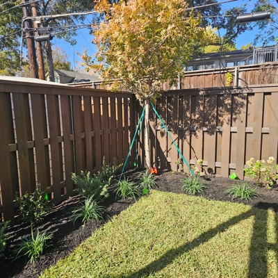 7' Shadowbox Western Red Cedar Fence - Custom Stain - M Streets, Dallas