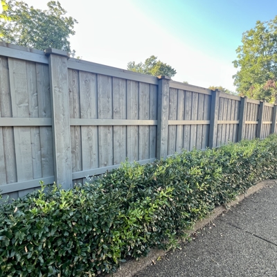 8' Board-on-Board Western Red Cedar Fence - Custom Stain - Preston Hollow, Dallas