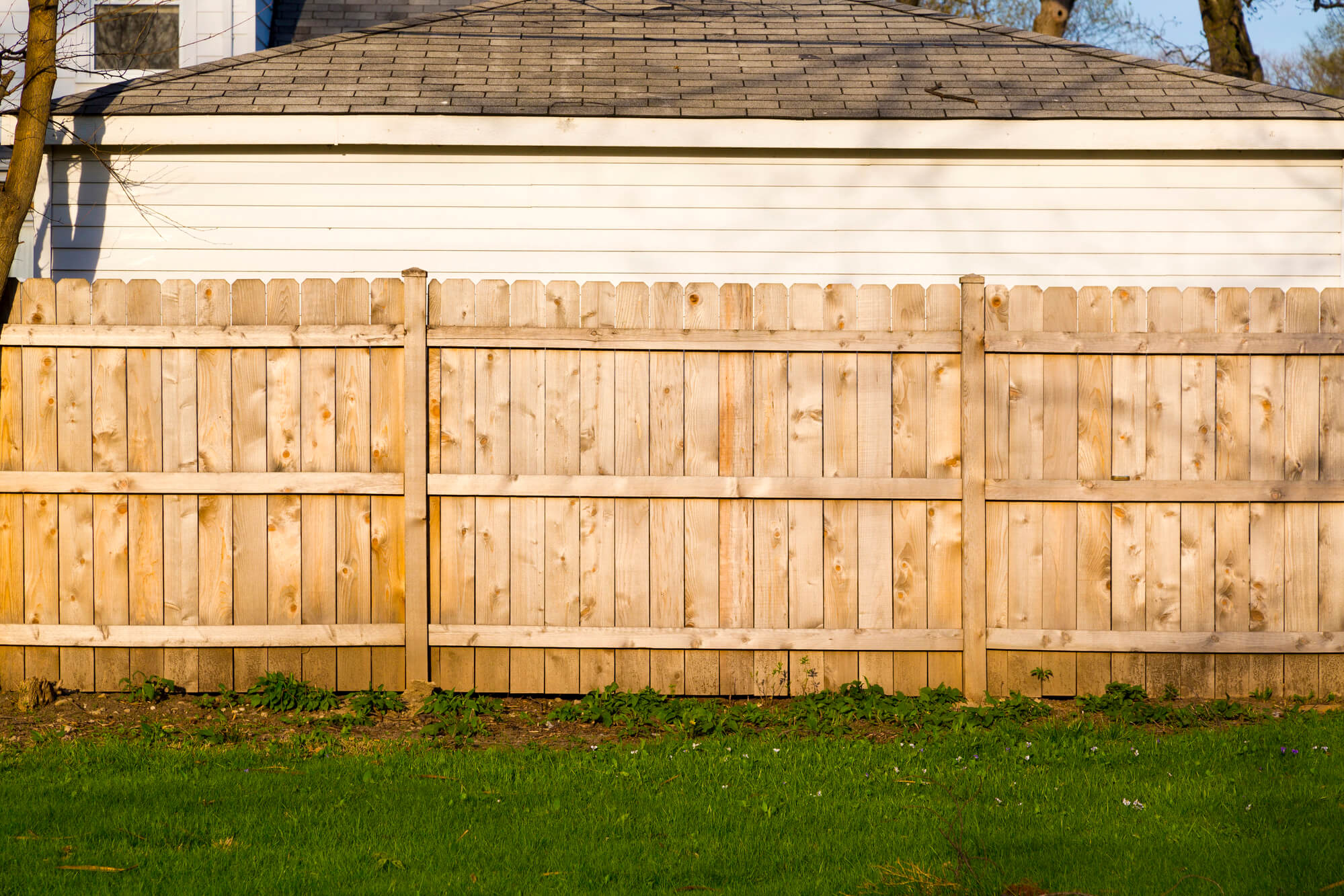 cedar dog ear privacy fence