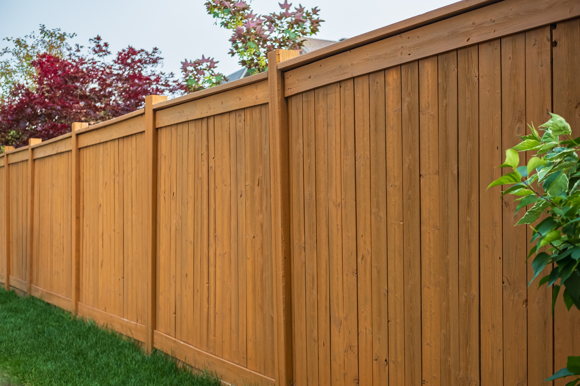 vertical wooden privacy fence