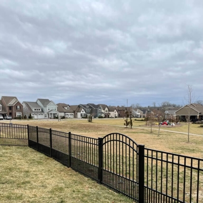 Ornamental Steel Fencing