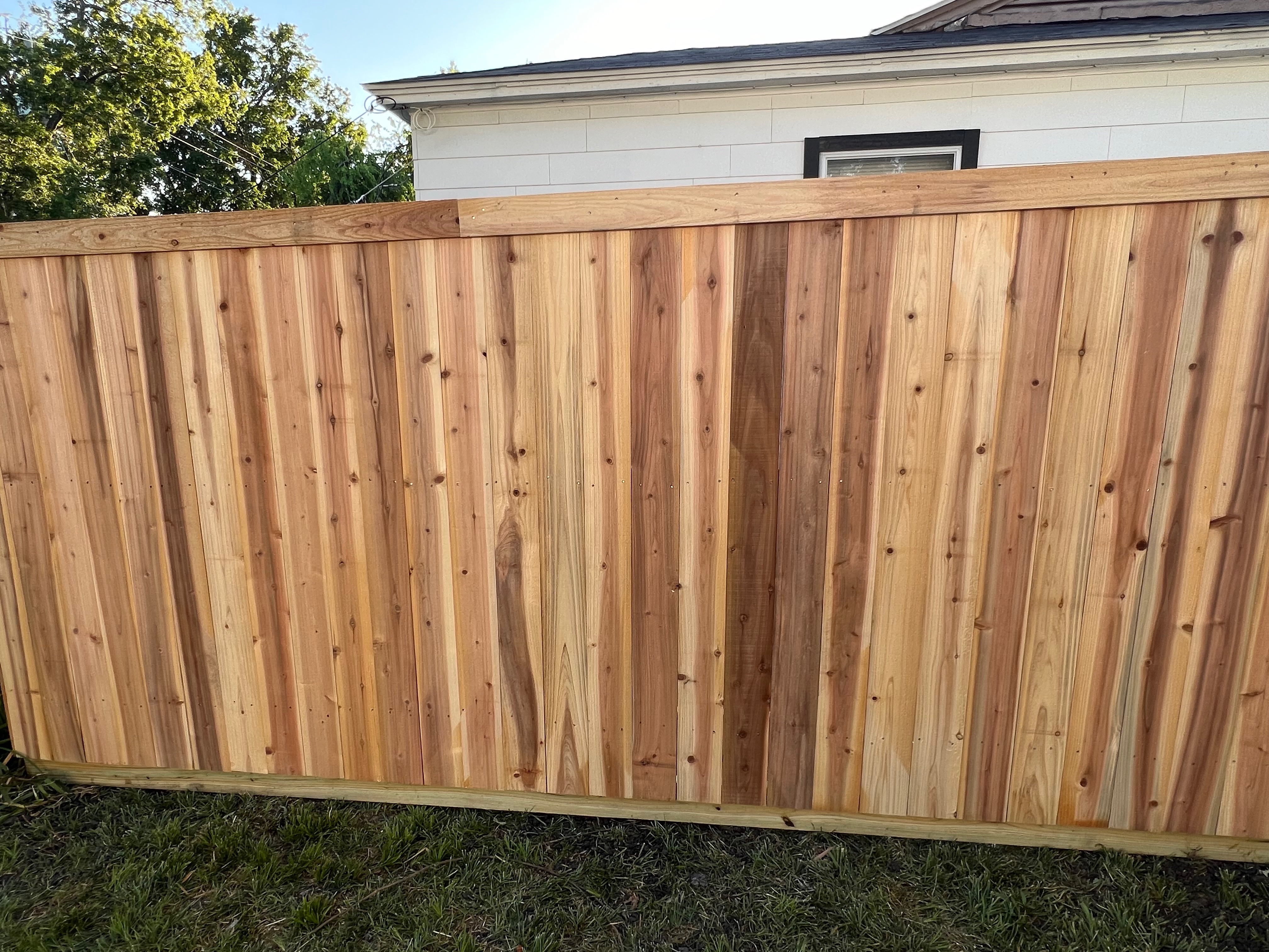 Cedar privacy side by side (board to board) with trim unstained