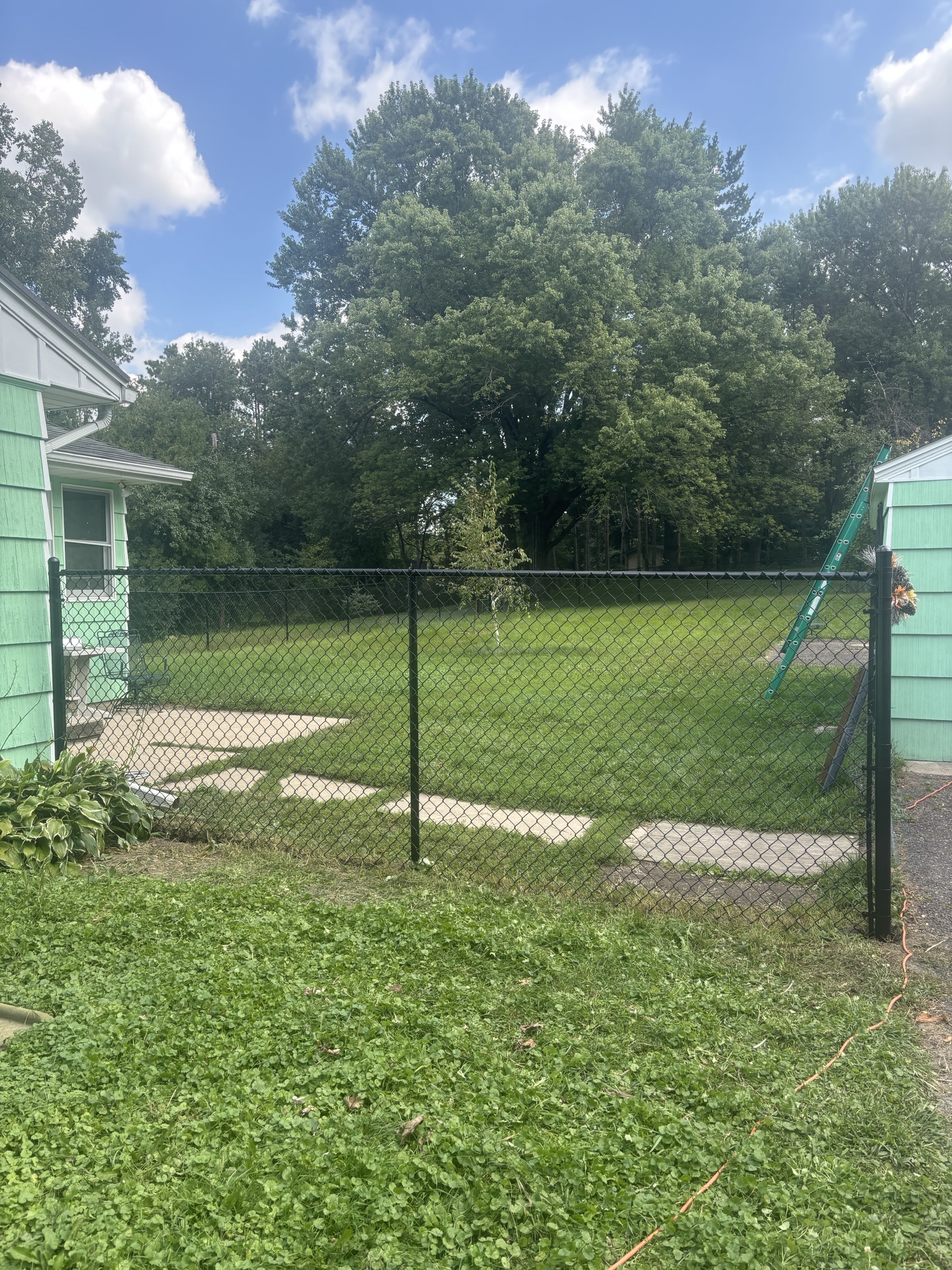 Black Chain Link Fence