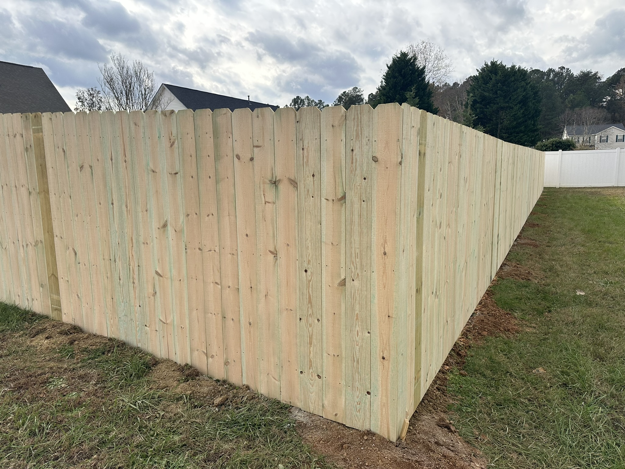 6' Privacy - Pine - Classic Privacy Fence - Dog Eared