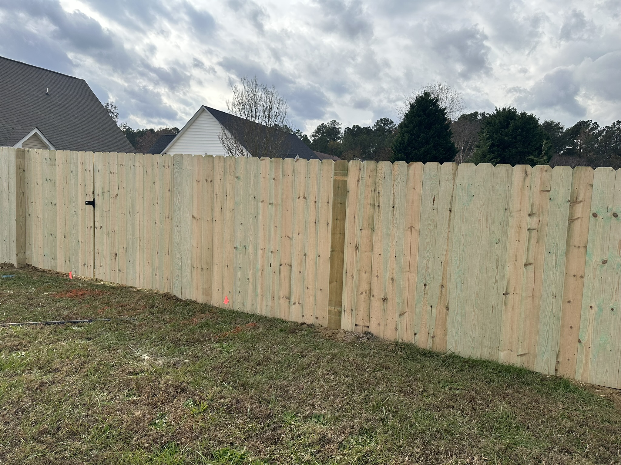6' Privacy - Pine - Classic Privacy Fence - Dog Eared - Exterior