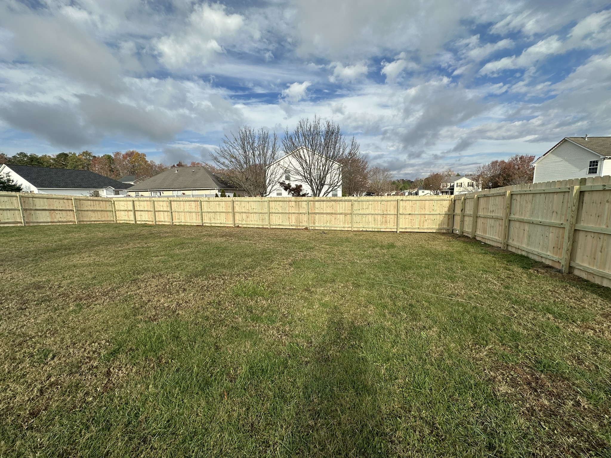 6' Privacy - Pine - Classic Privacy Fence - Dog Eared - Interior