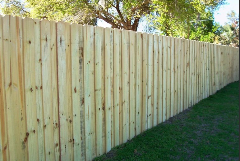 6' Pine - Board on Board Fence - Dog Eared