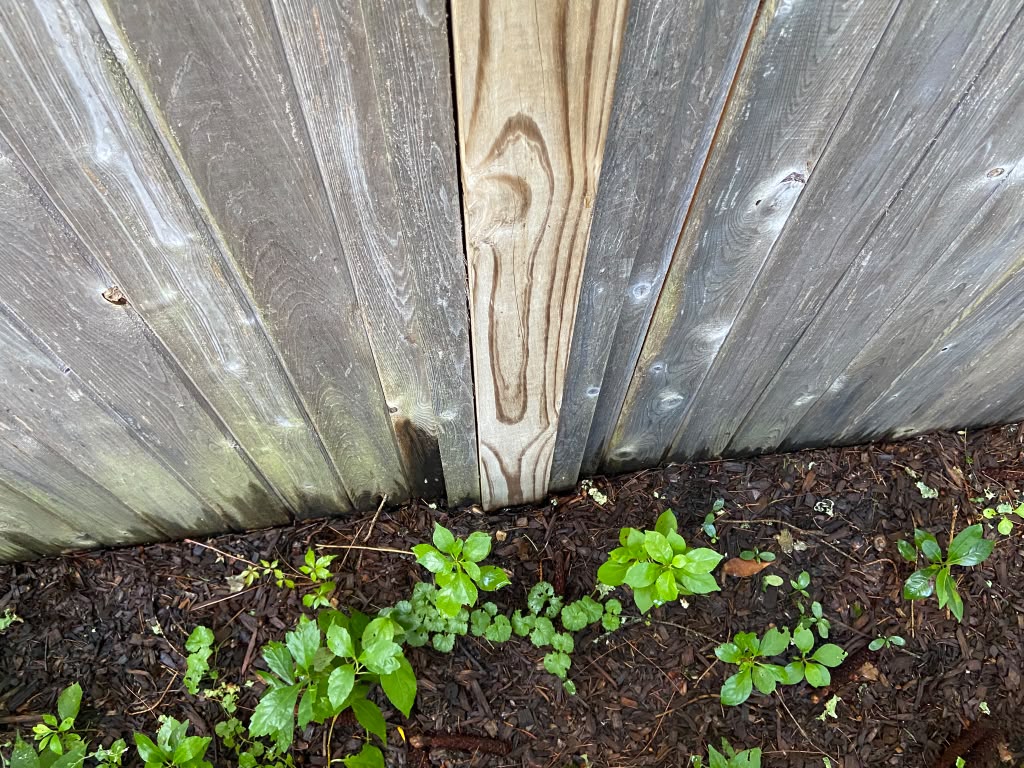Fence repair and replacement