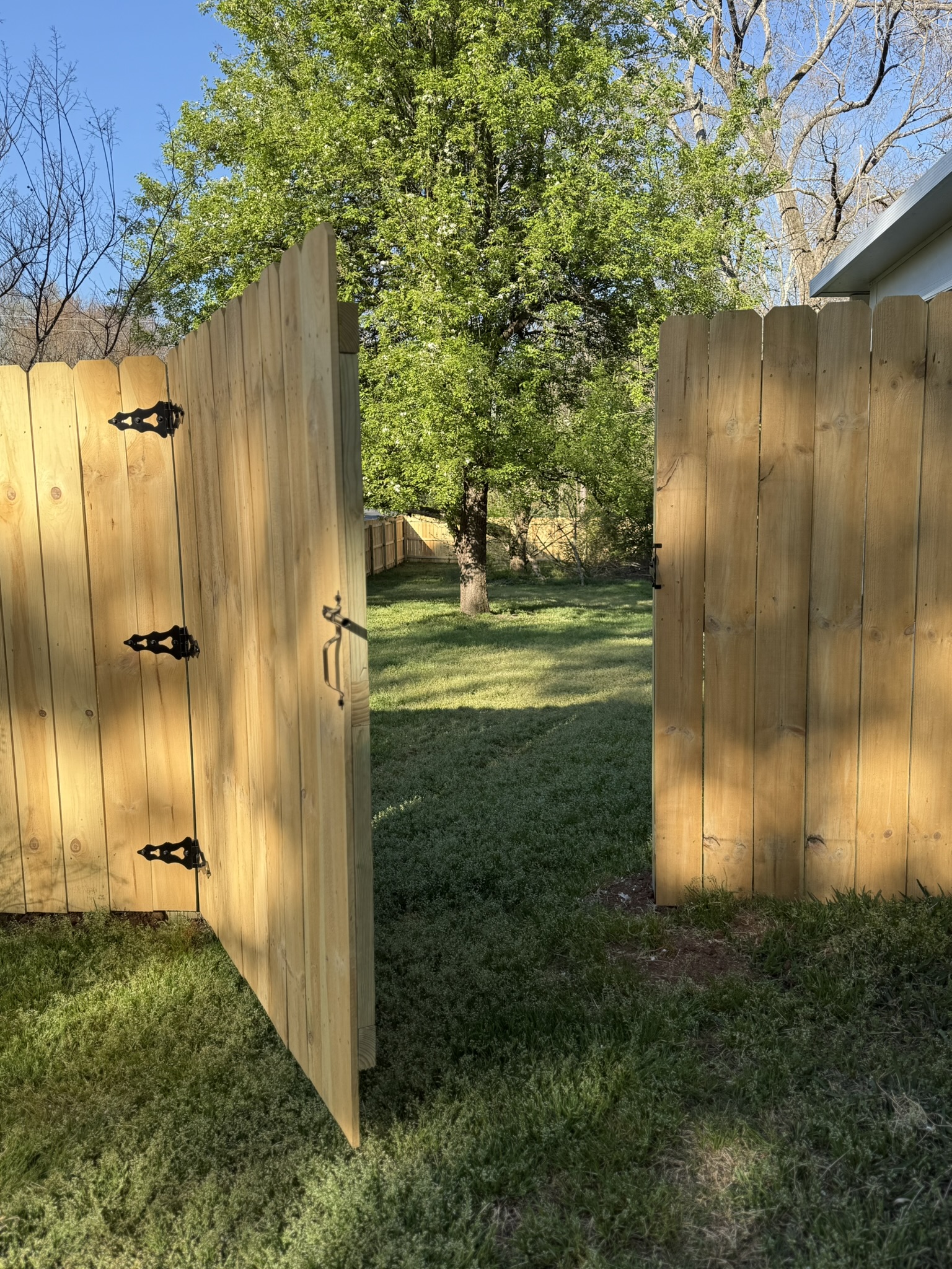 Pine Privacy - 5' Single Gate