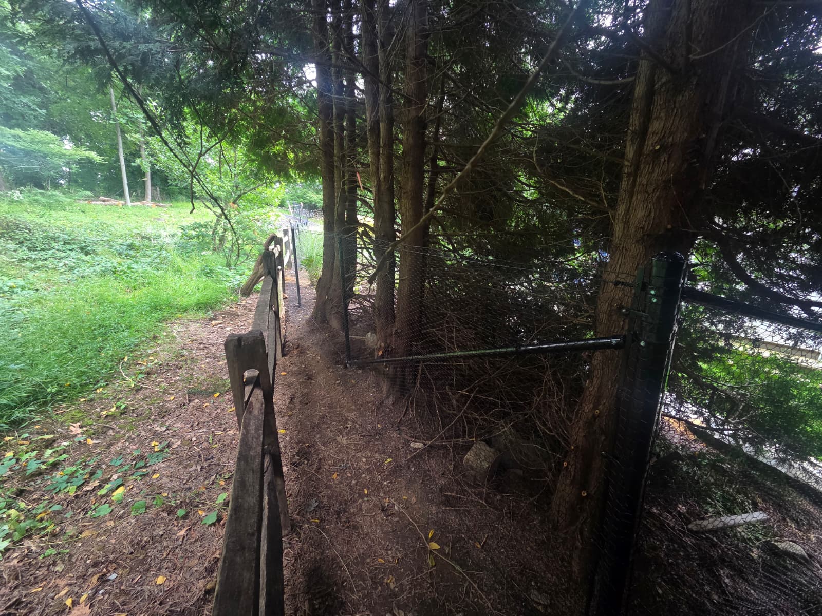 New fences and gates installation