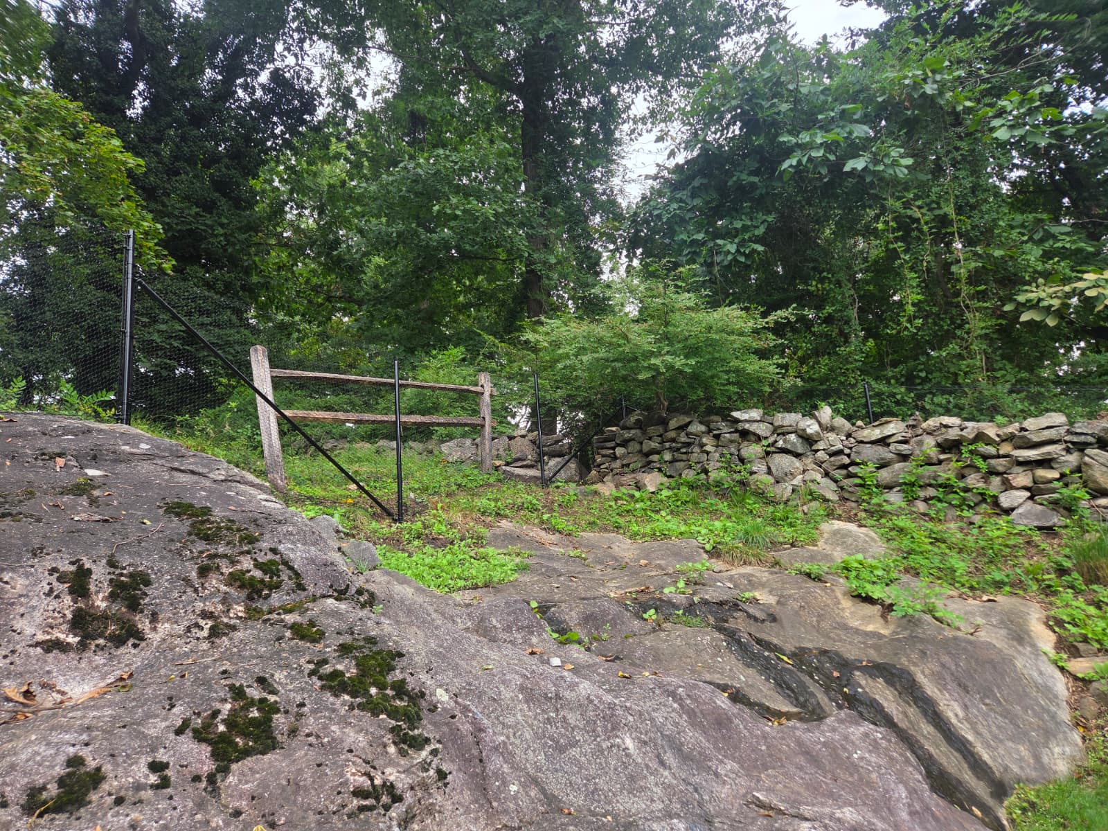 New fences and gates installation