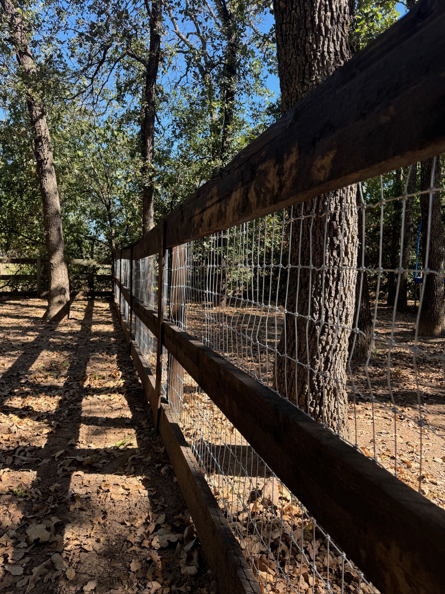 Argyle - 4' cedar 3 rail ranch fence with top cap and mesh, custom Walnut stain