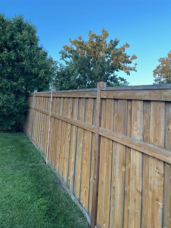 Wood Fence