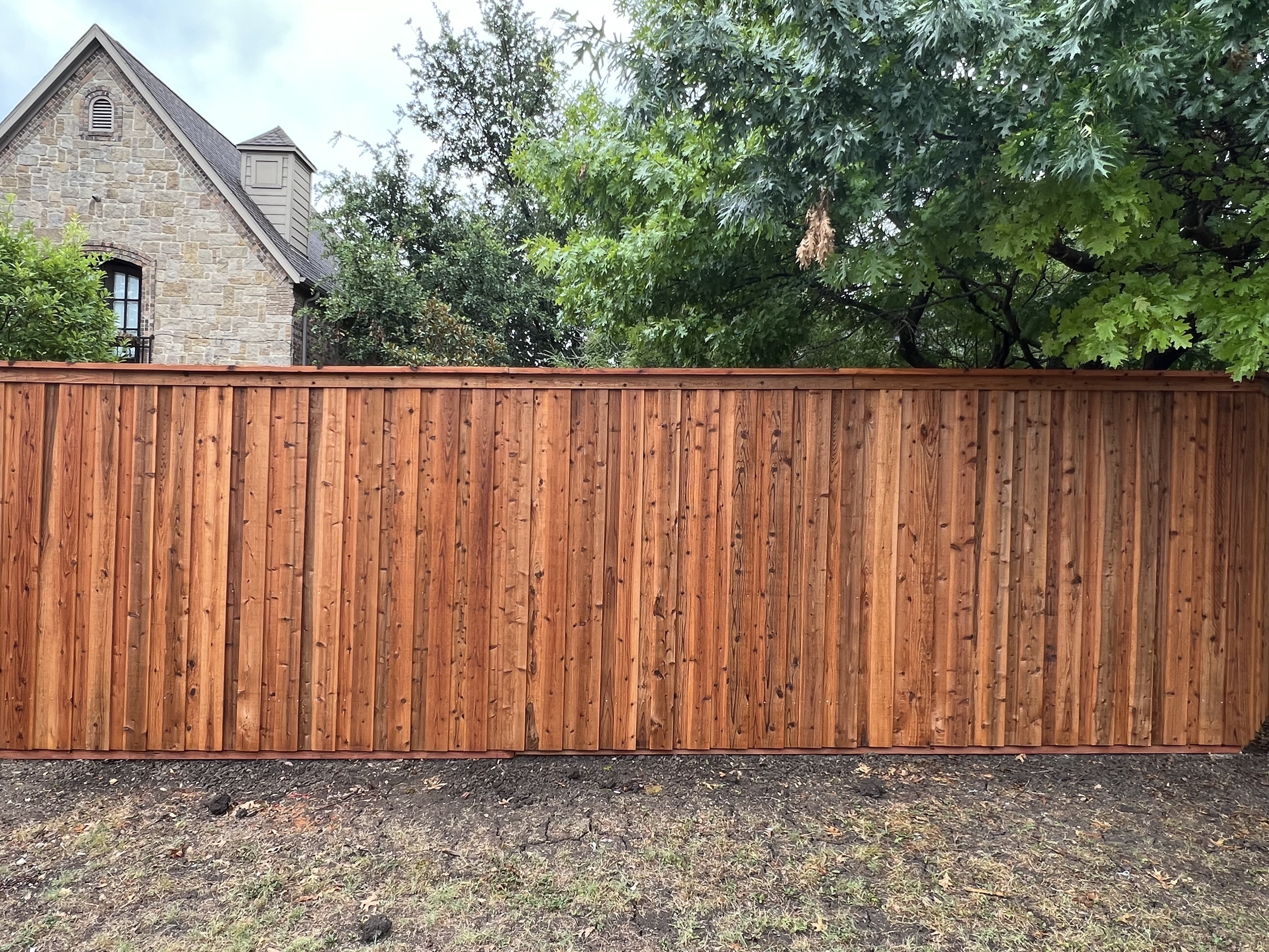 North Dallas - Cedar 8' Pre-Stained Board-on-Board with Top Cap and Top Trim