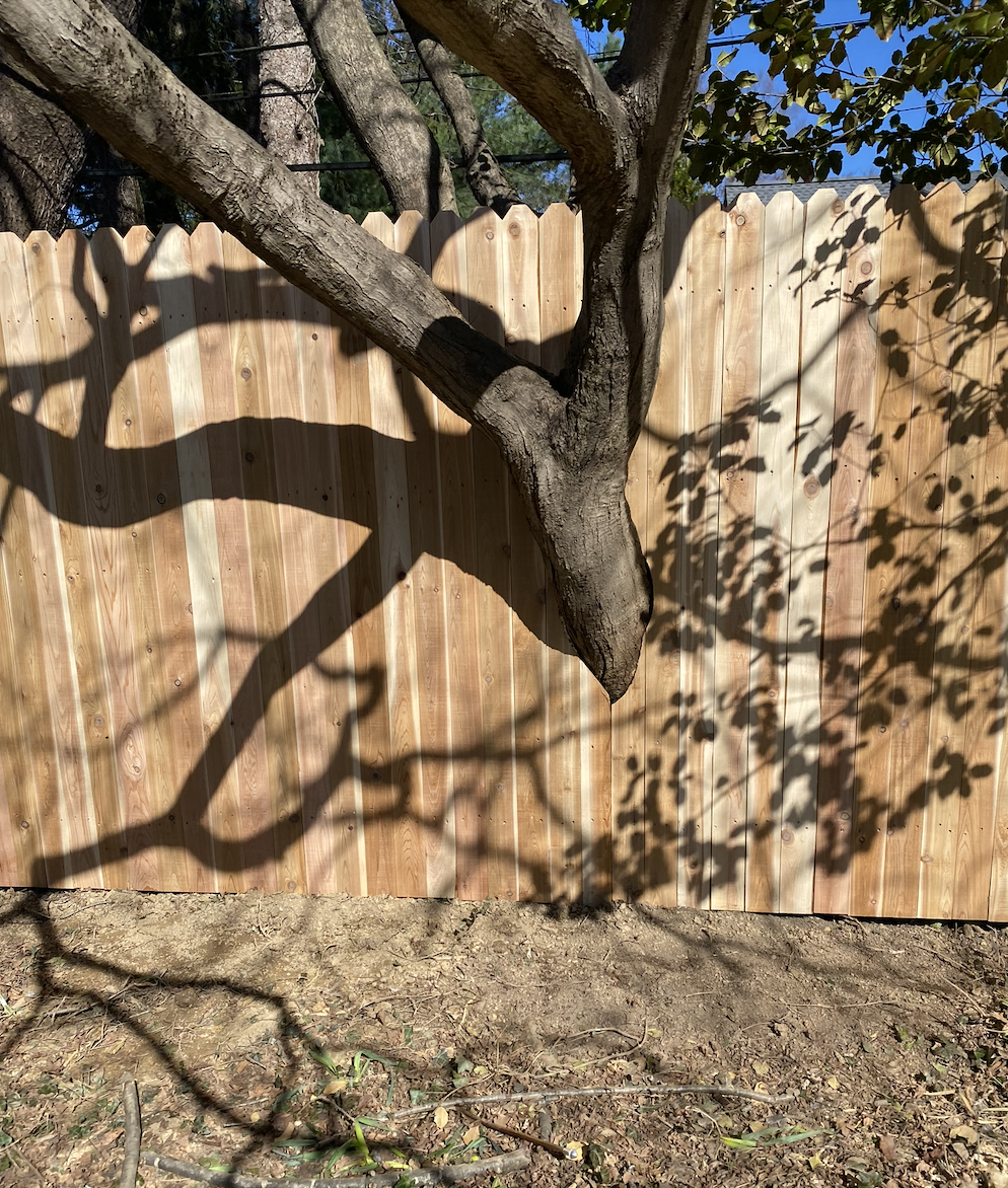 Red Cedar Dog Eared Picket Fence