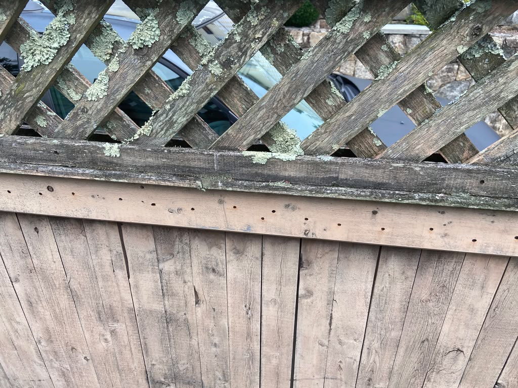Wooden fence replacement