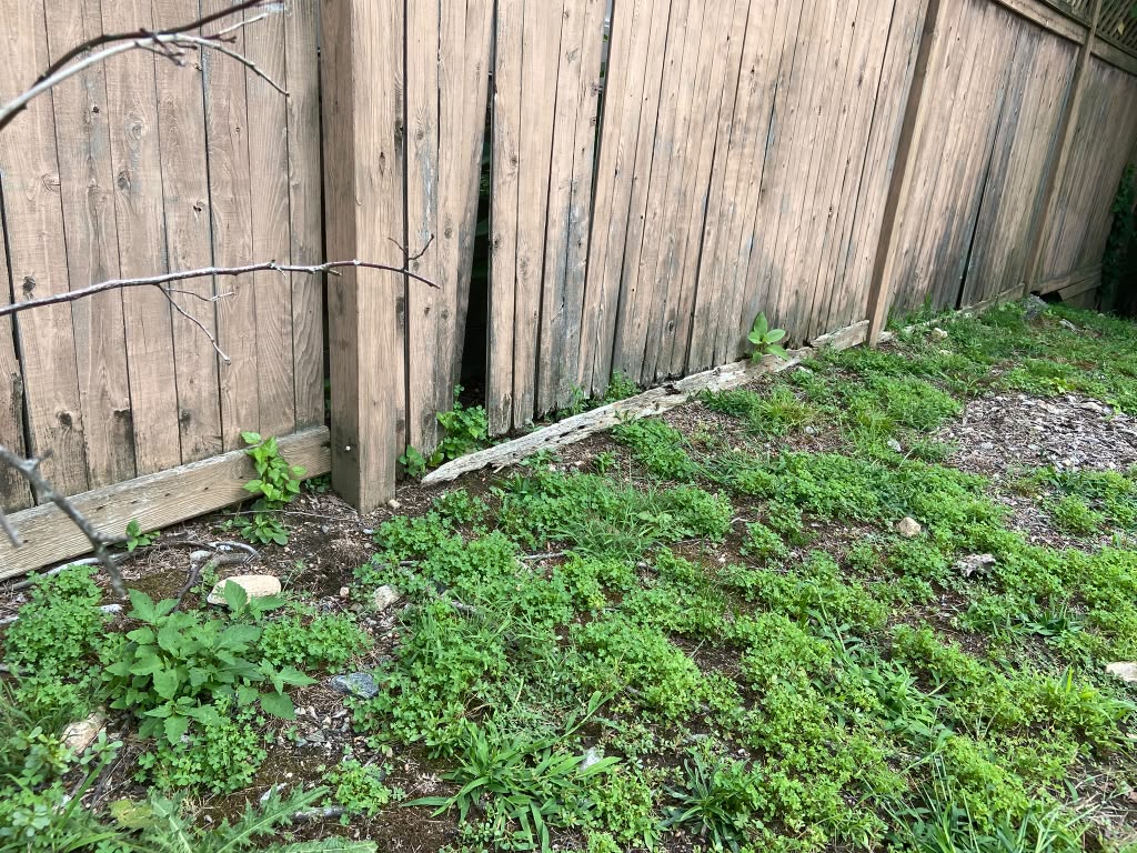 Wooden fence replacement