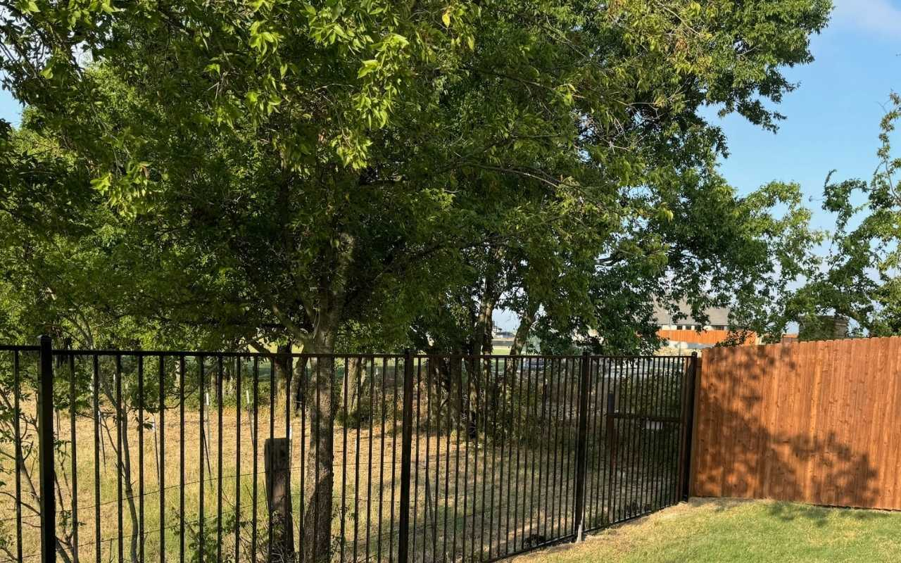 Fence Company in Argyle