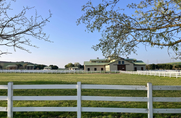 Fence Contractors Frisco