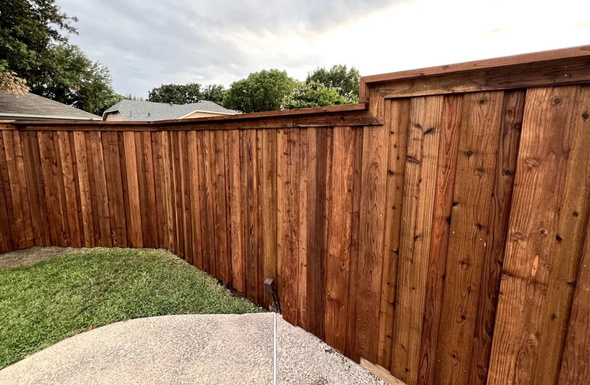 Fence Staining Services