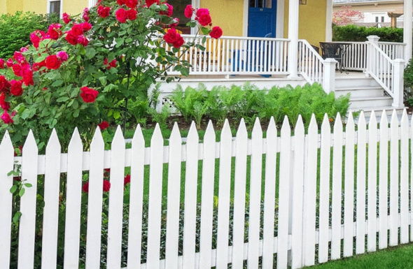 Vinyl Privacy Fences