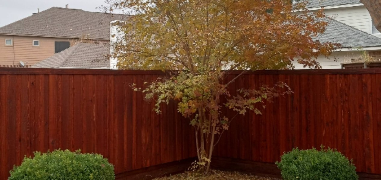 Fence Staining Services