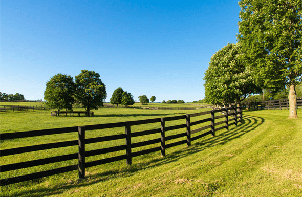 Ranch Fencing Cost