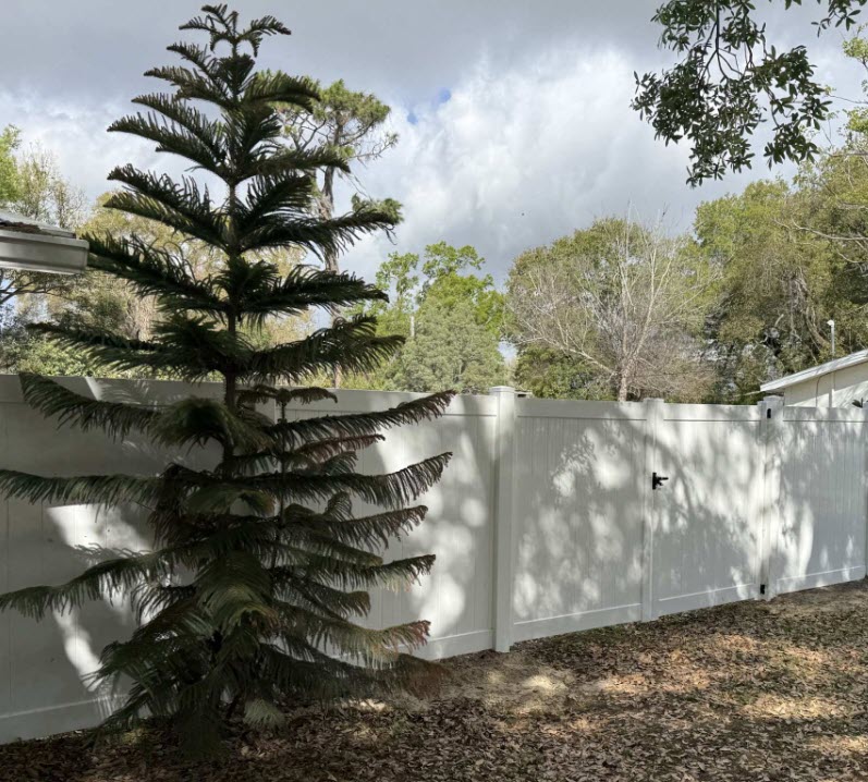 Vinyl Fencing