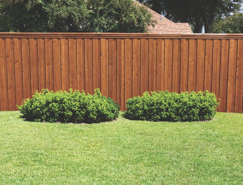 Cedar board on board fences