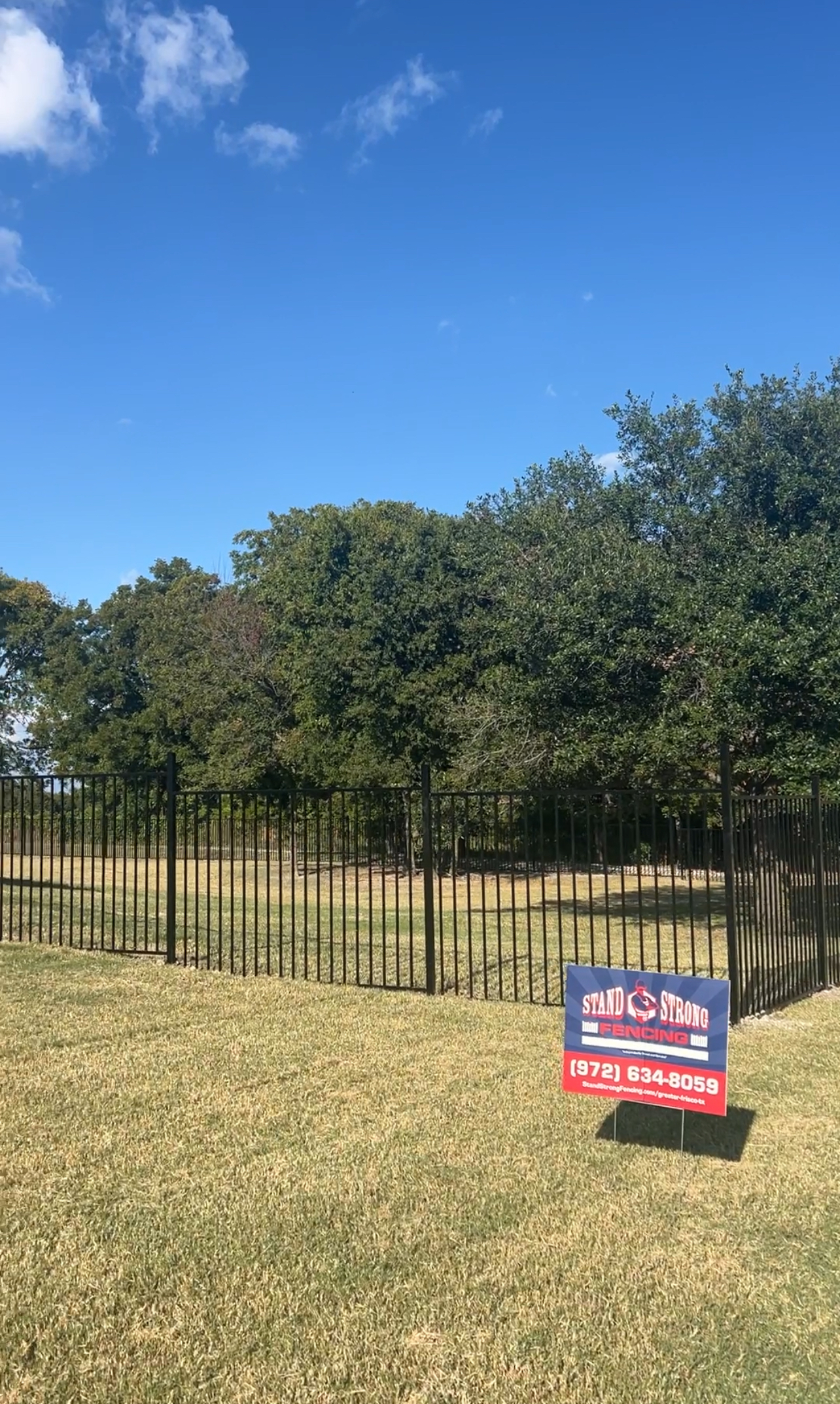 Ornamental steel fences