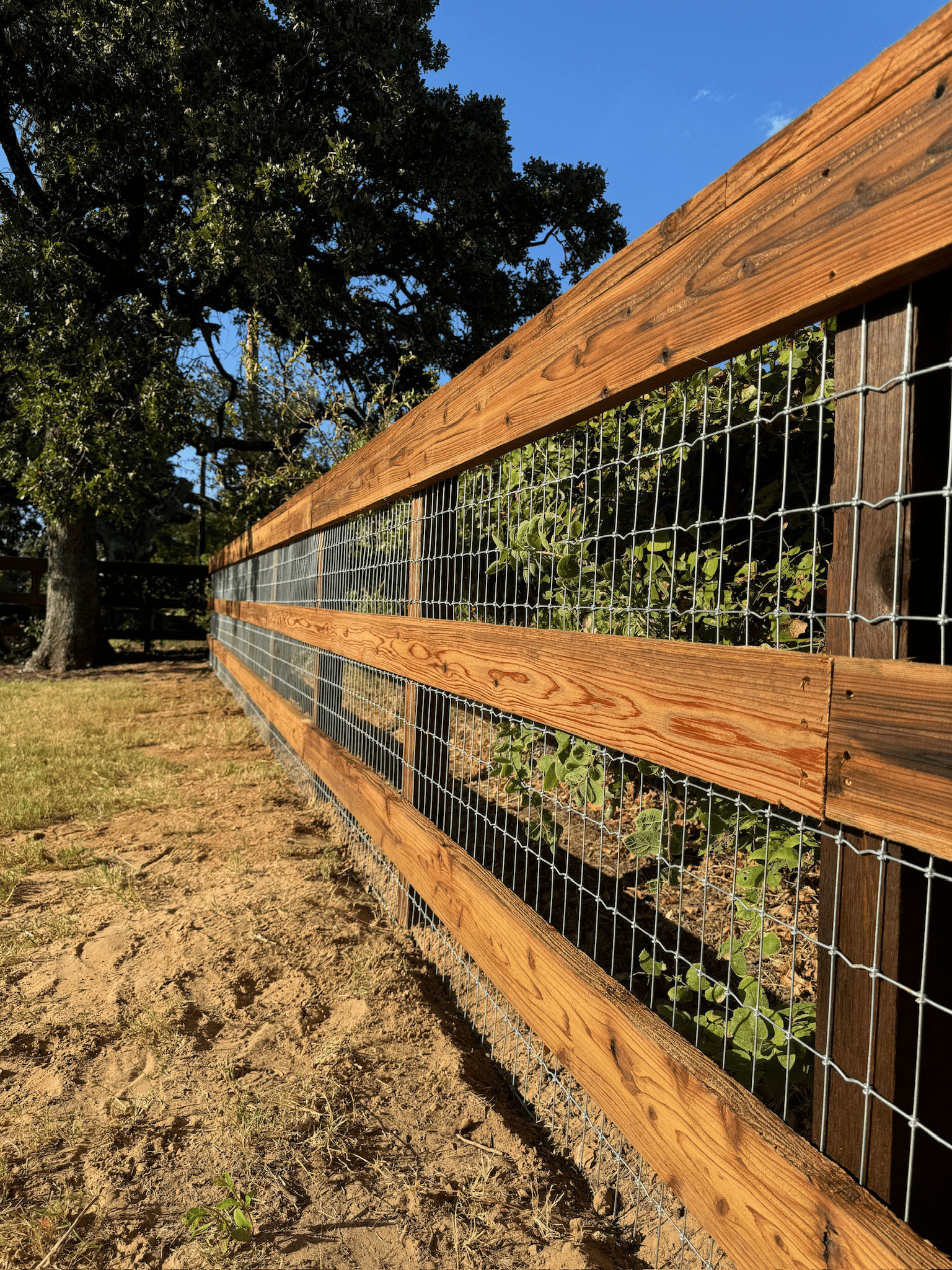 Argyle - 4' high 3 rail ranch fence with top cap and mesh