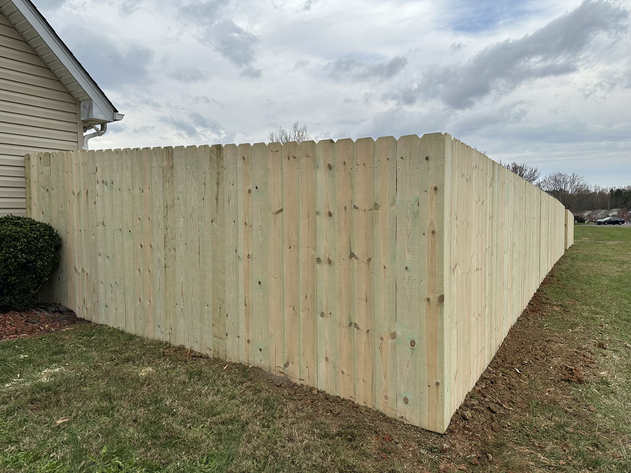 Classic 6' Pine Privacy