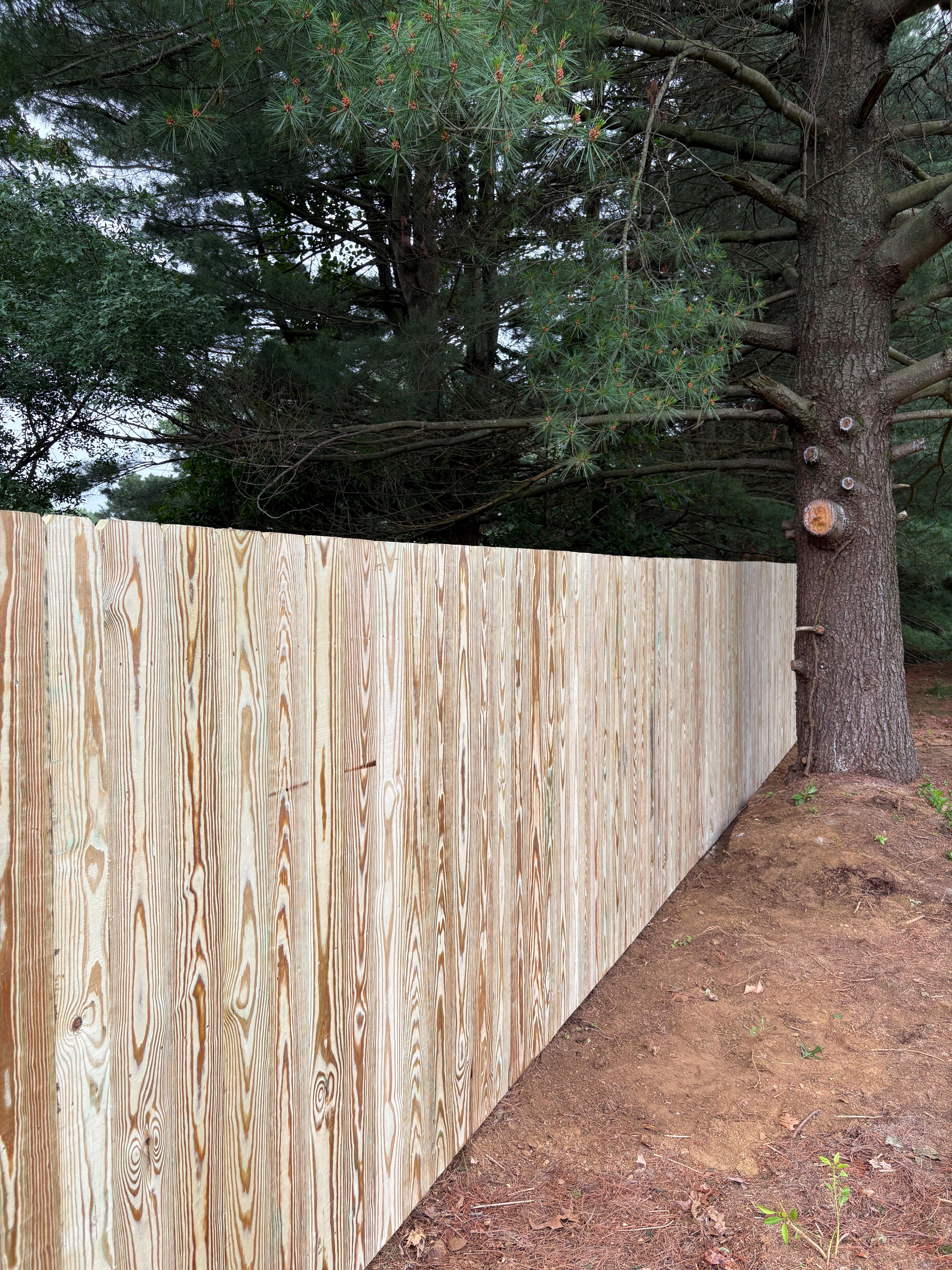 Pressure Treated Pine Privacy