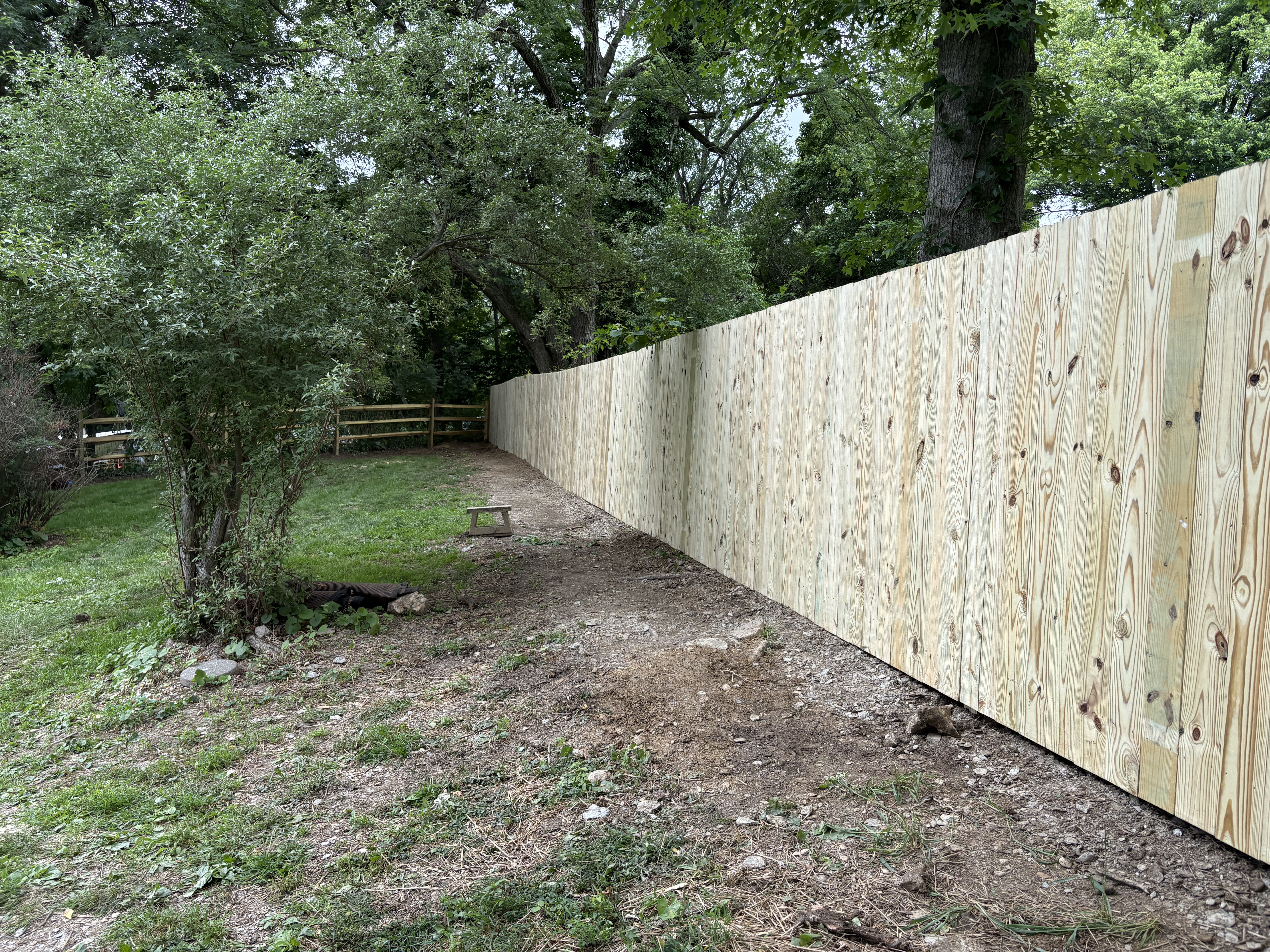 Pressure Treated Pine Privacy