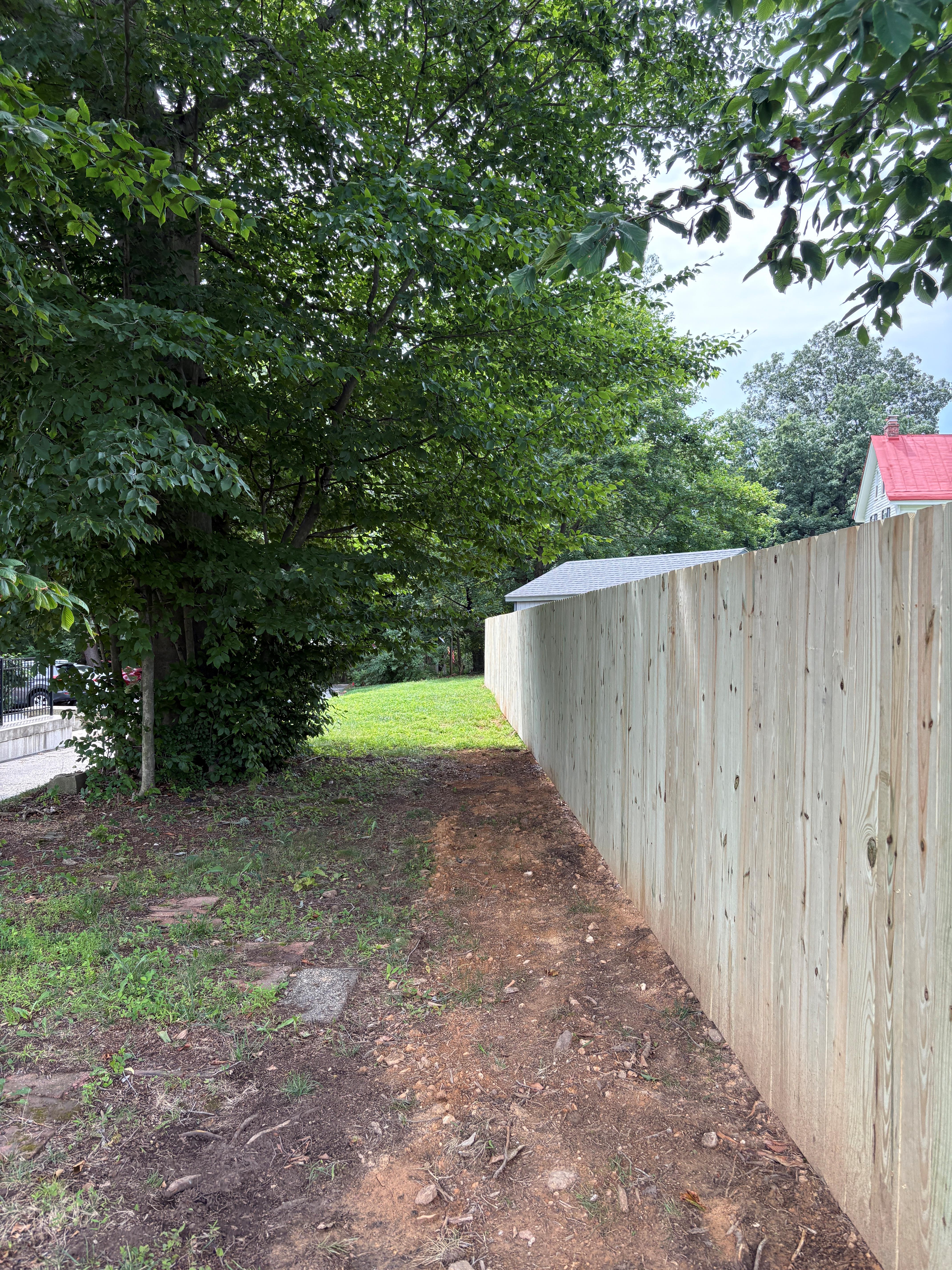 Pressure Treated Pine Privacy