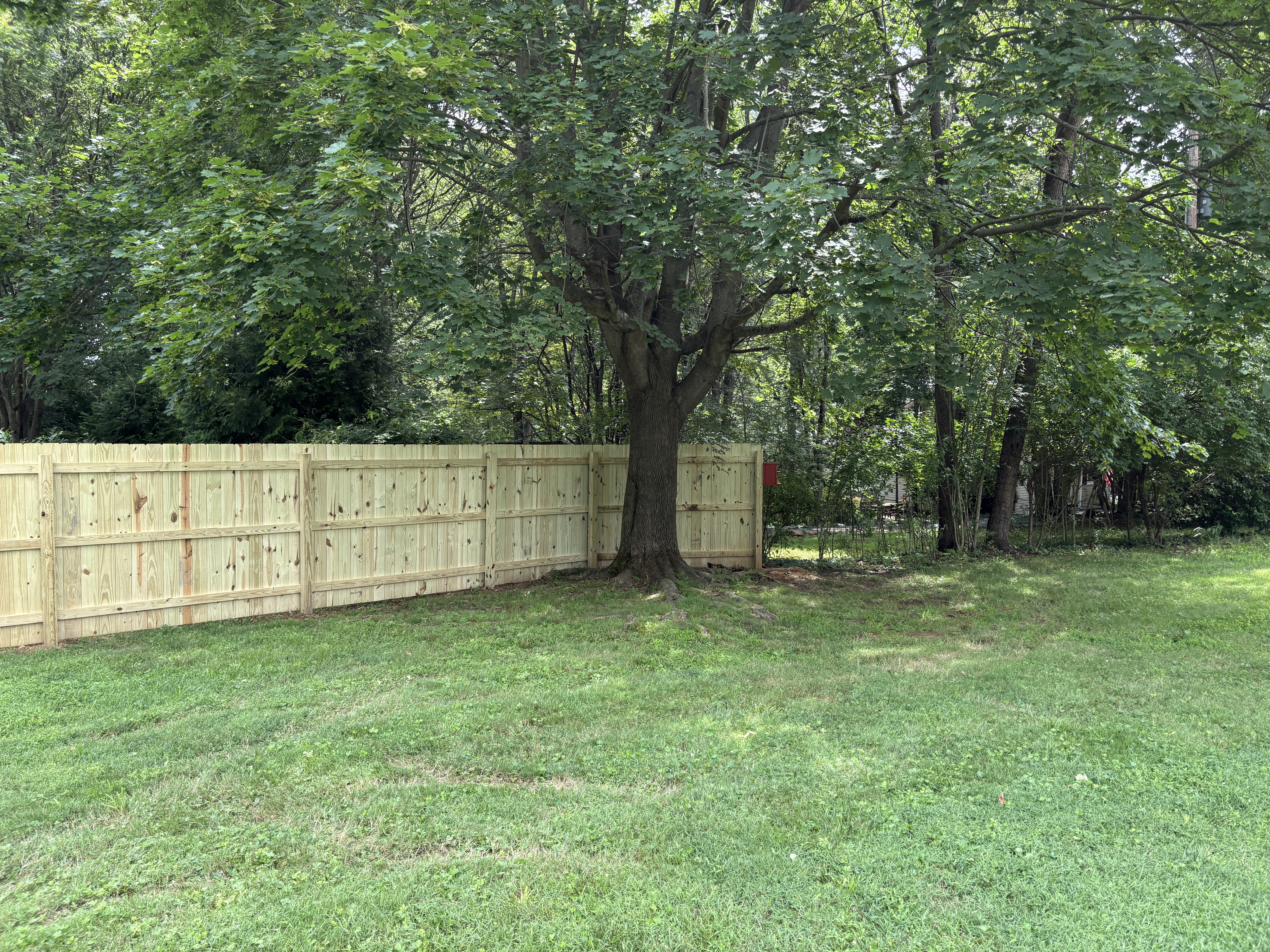 Pressure Treated Pine Privacy